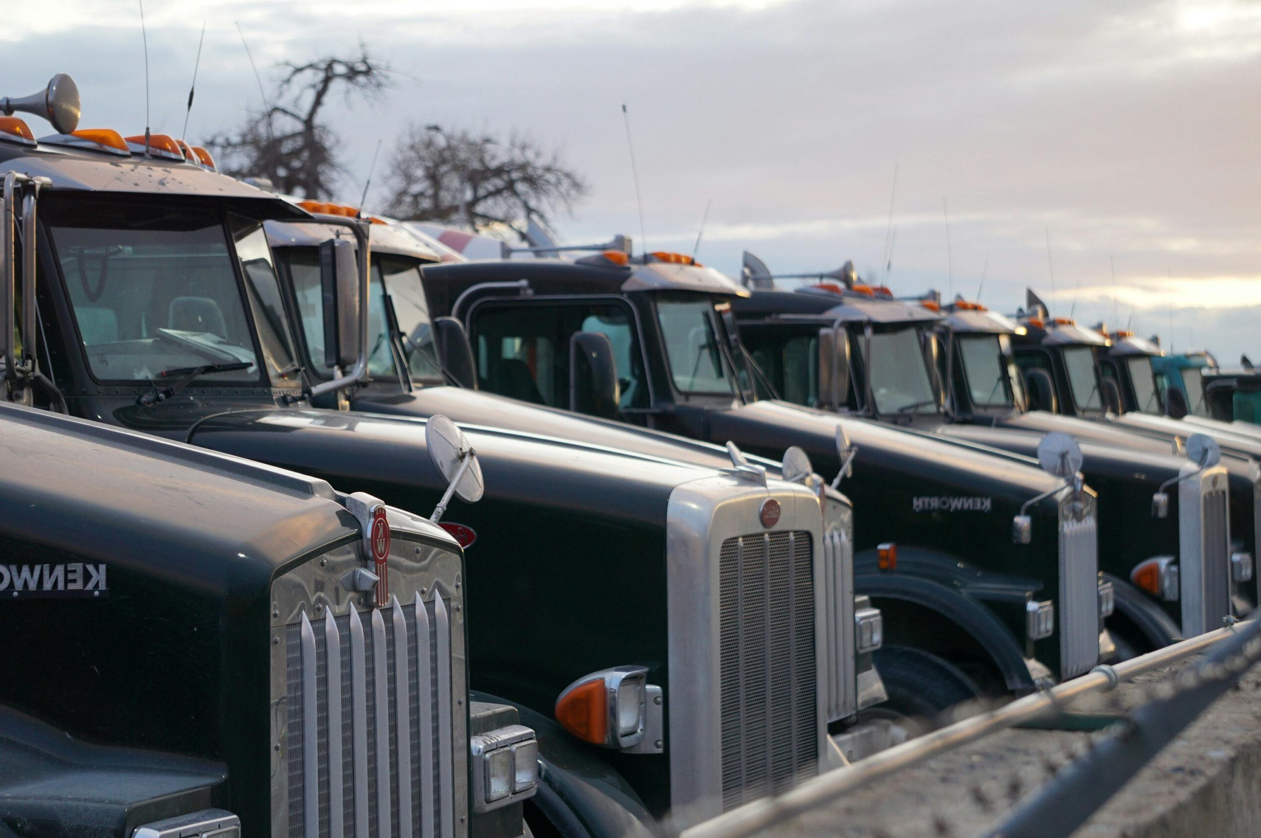 Classic Kenworth trucks lined up outdoors, showcasing heavy-duty retro design.
